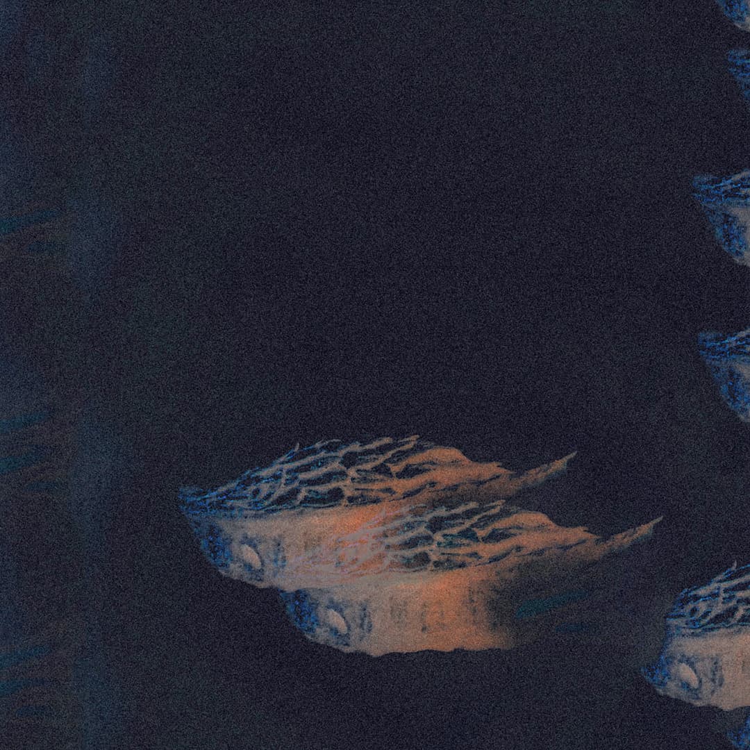 gamera