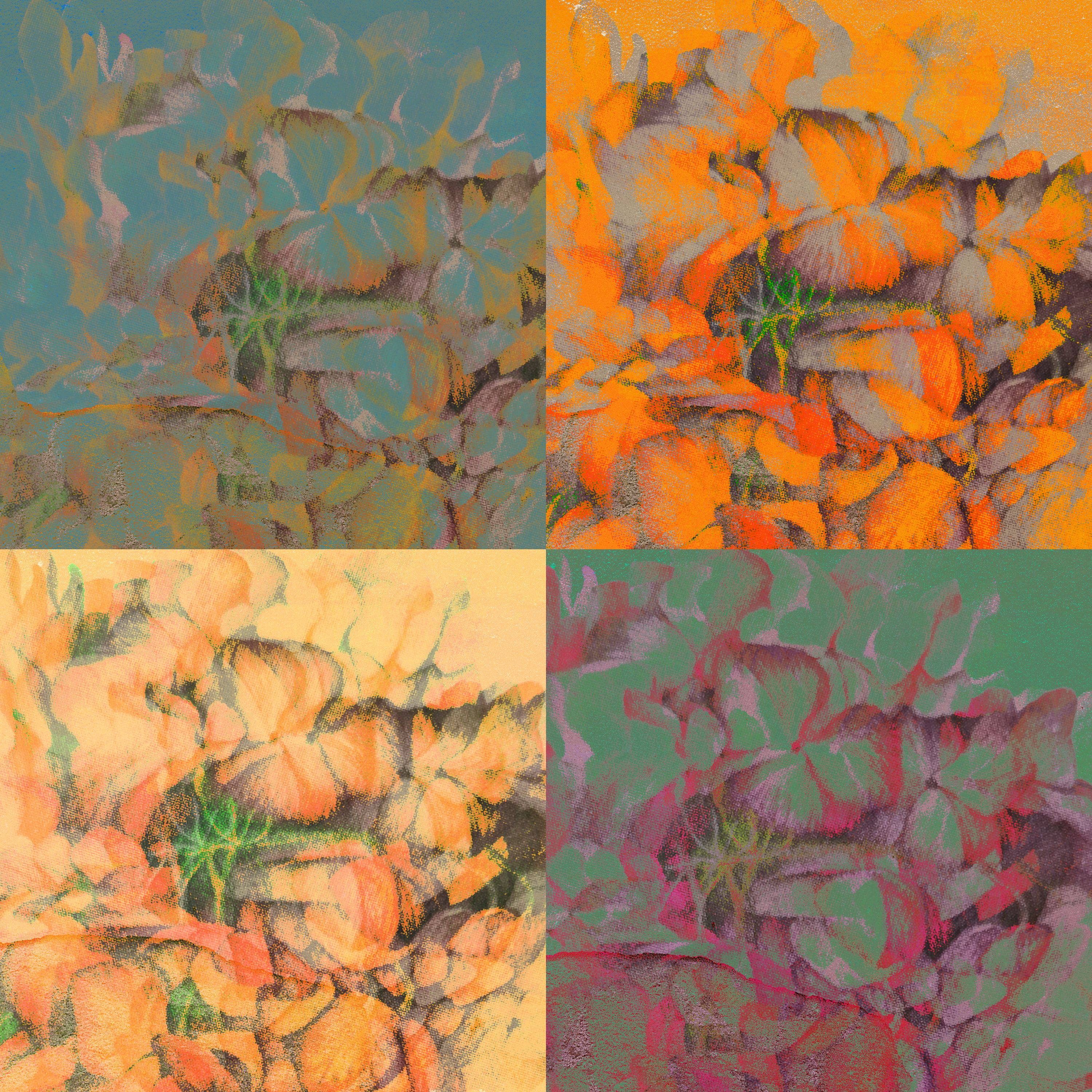 flori pop art